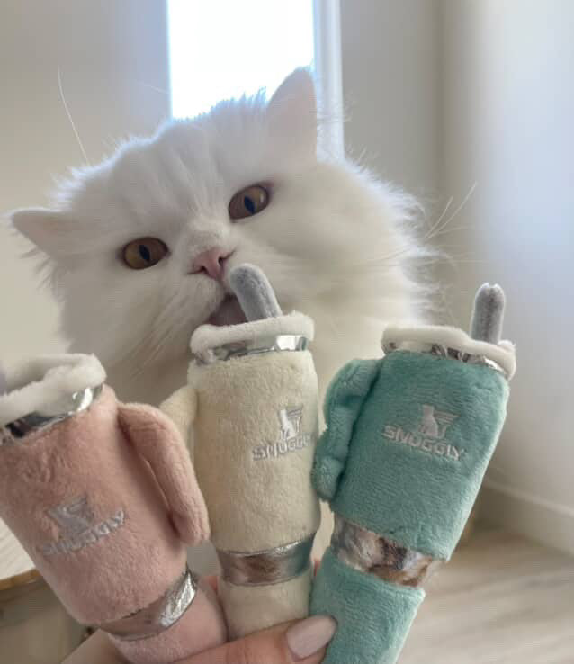 Snuggly Cup Catnip Toys