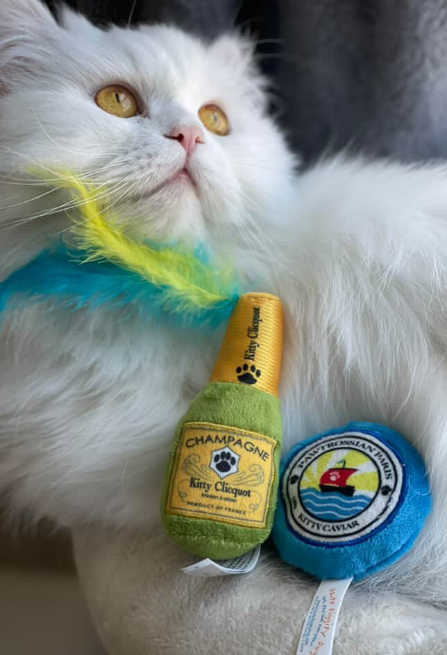 Kitty Clicquot Bottle & Caviar Catnip Toys