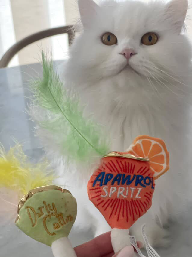 Kitty Cocktails Catnip Toys