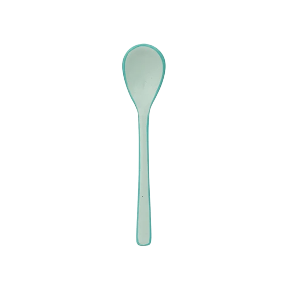 Enameled Stainless Steel Salt & Pepper Spoon - Light Blue With Blue Trim