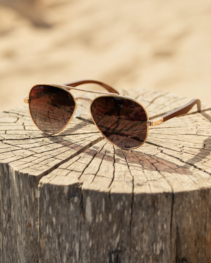Mav Polarized Sunglasses - Matte Gold / Walnut Wood