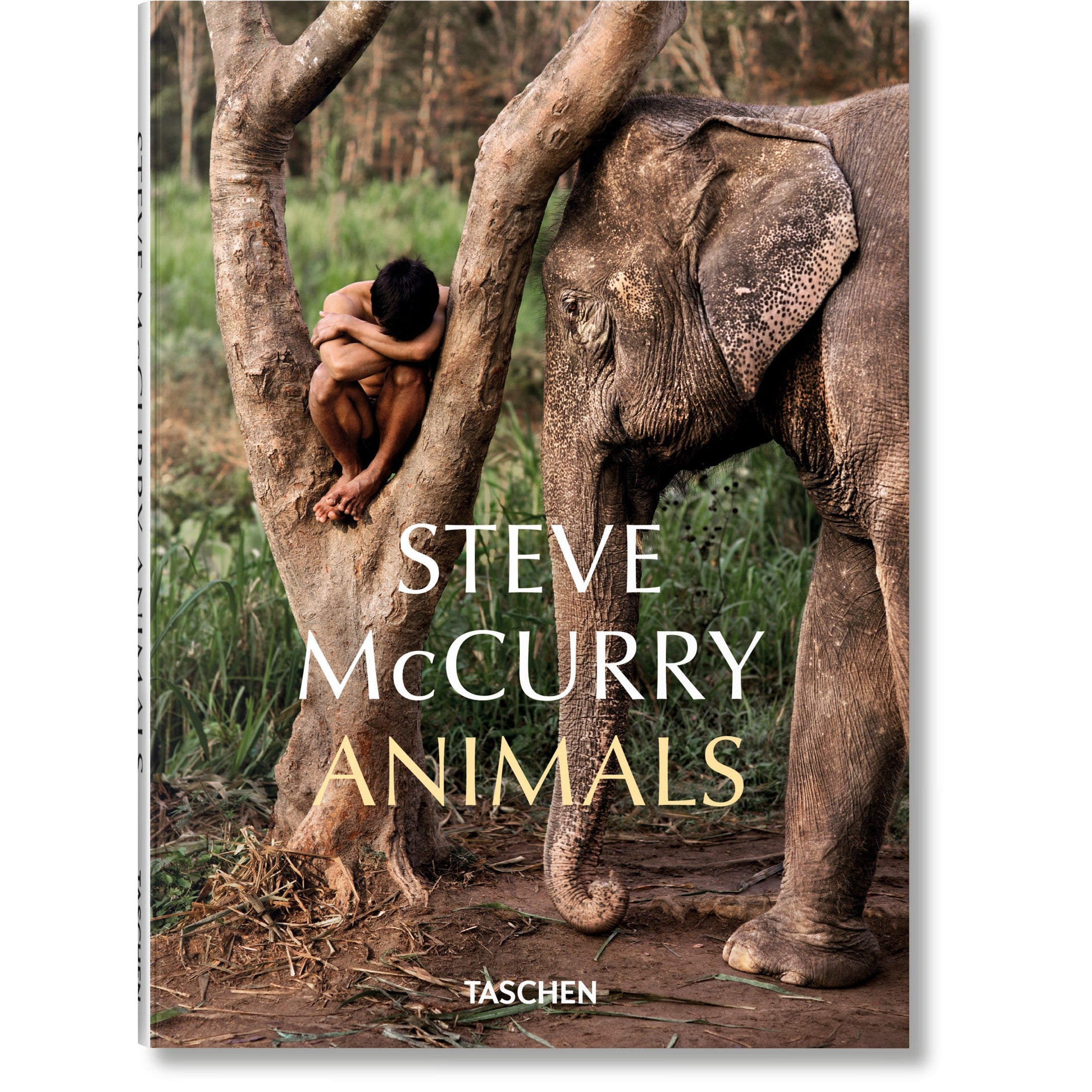 ICONS: Steve McCurry. Animals