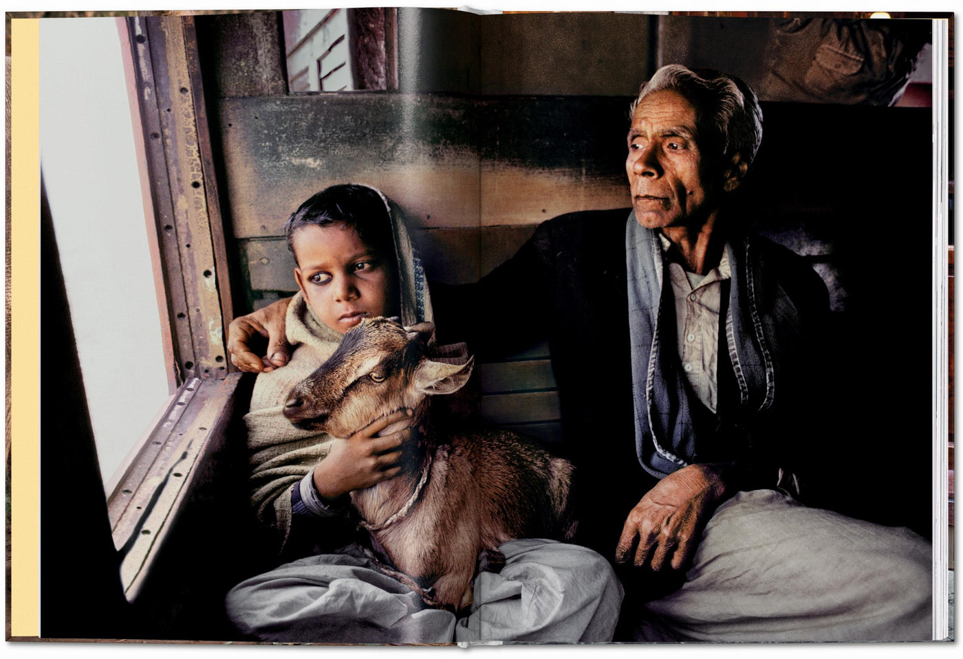 PO: Steve McCurry. Animals