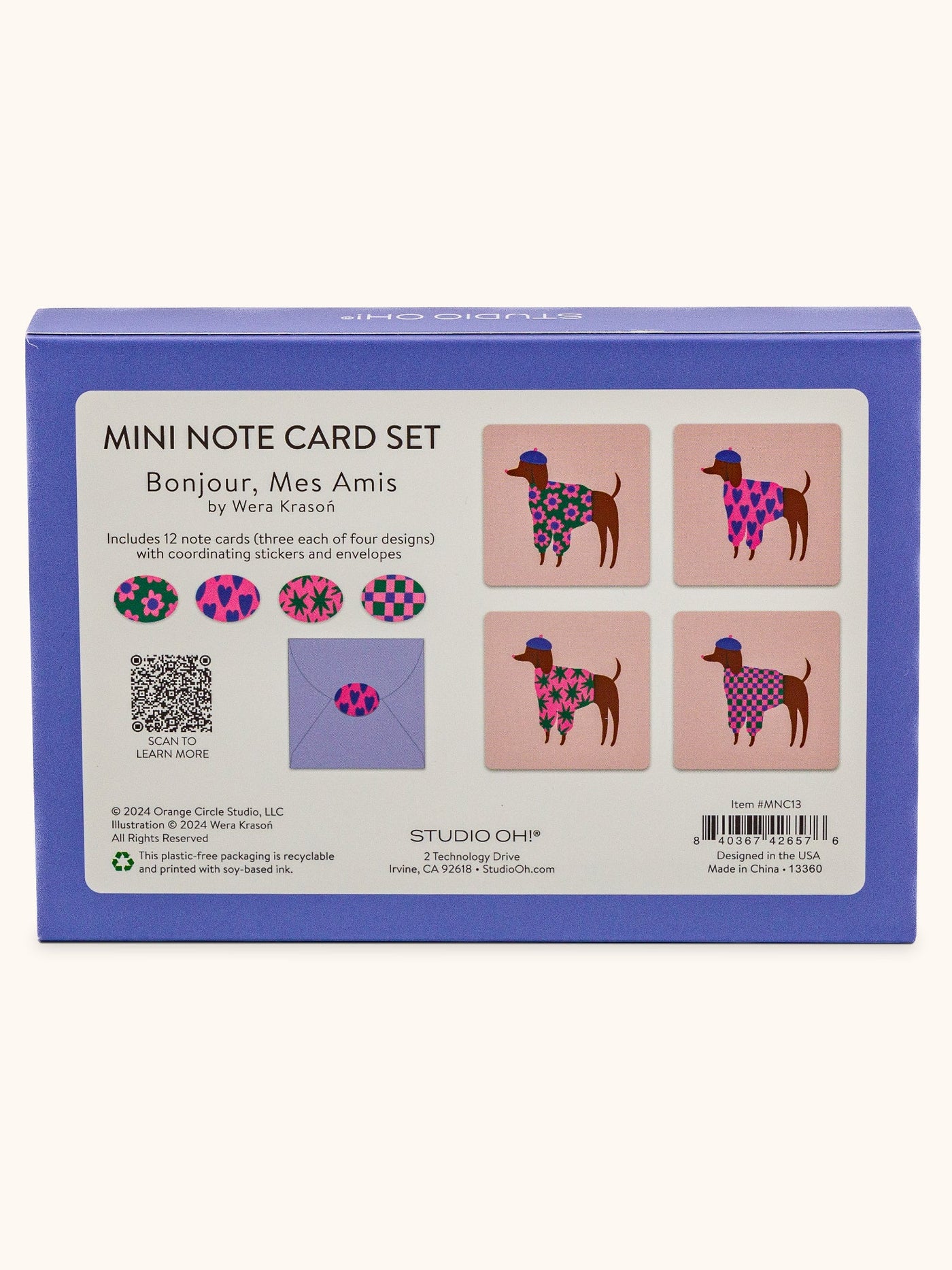 Bonjour Mes Amis Mini Note Card Set With Stickers