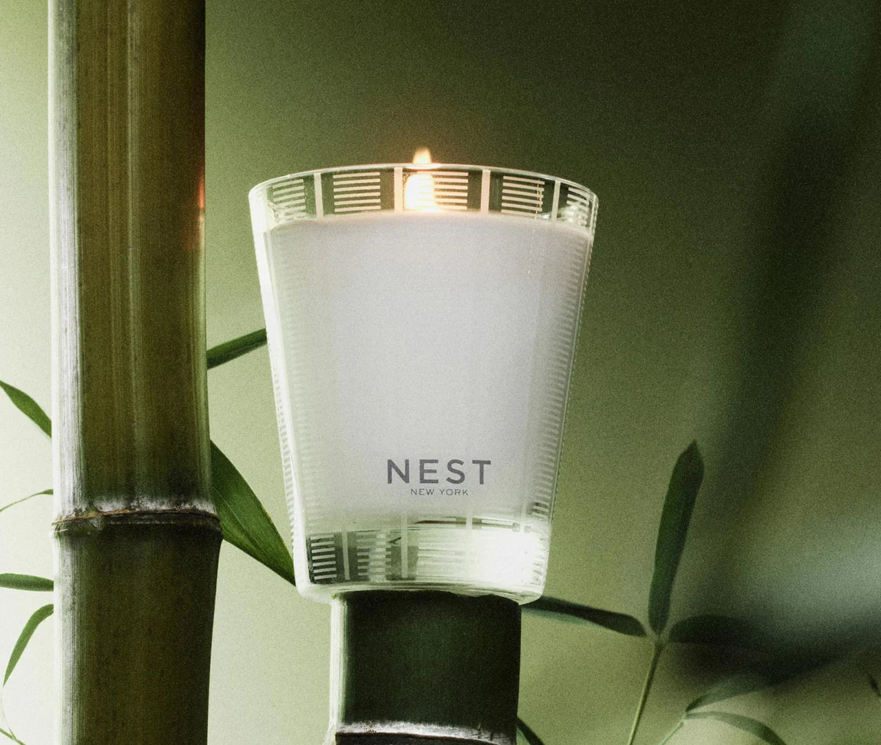 Bamboo Classic Candle 8.1oz - Just Fabulous Palm Springs
