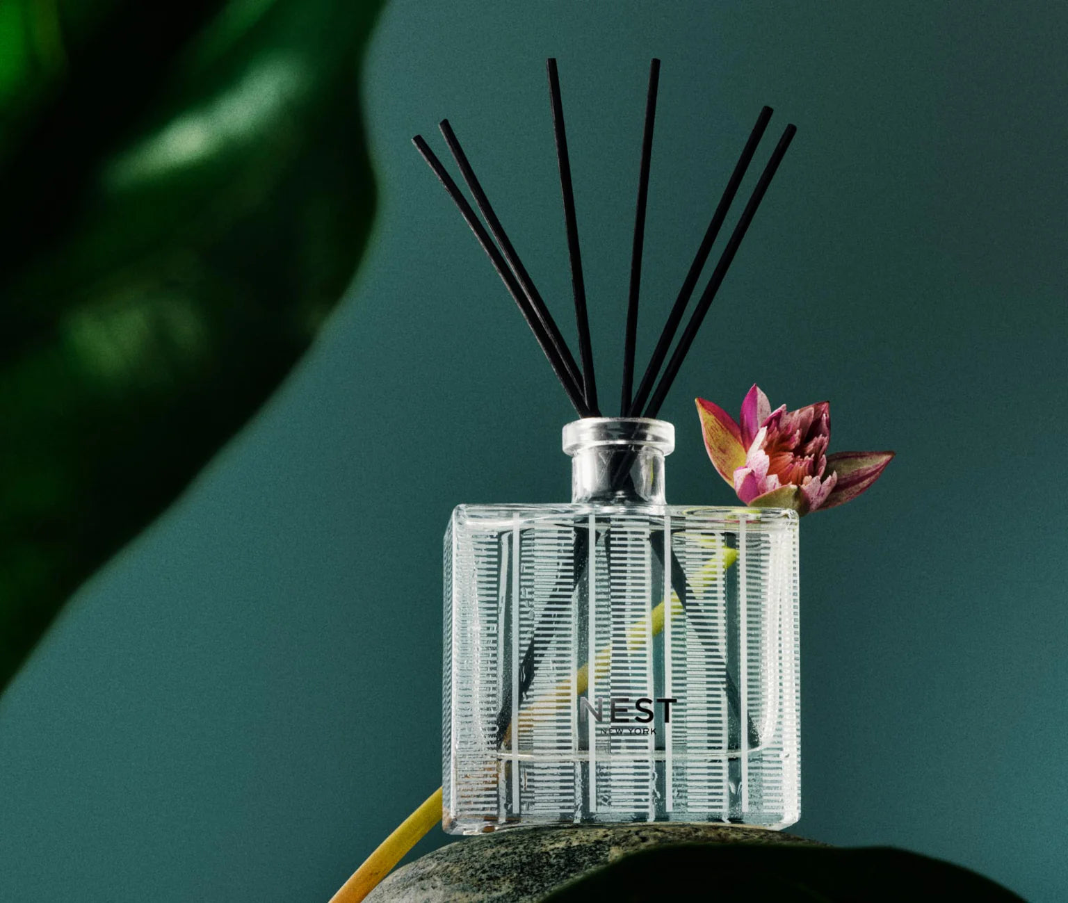 Forest Rain Reed Diffuser 5.9oz. - Just Fabulous Palm Springs