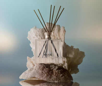 Ocean Mist & Sea Salt Reed Diffuser 5.9oz.