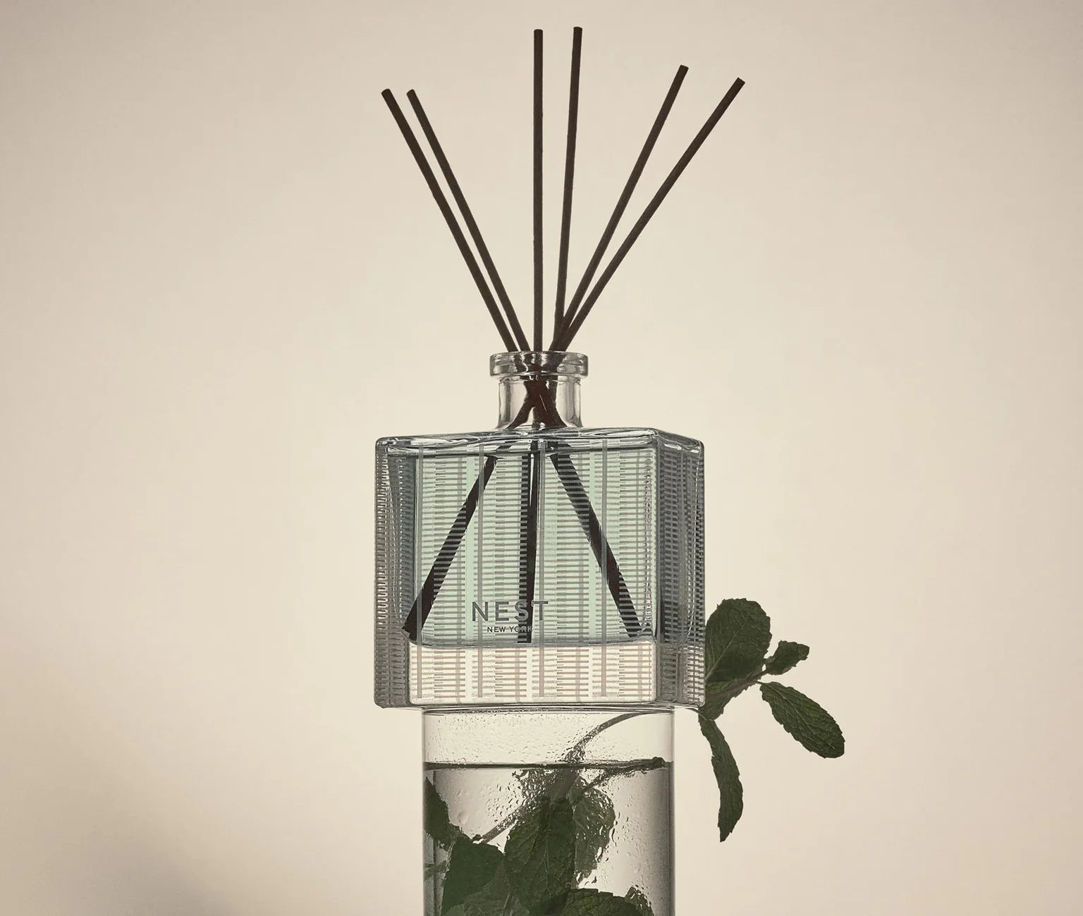 Wild Mint & Eucalyptus Reed Diffuser 5.9oz. - Just Fabulous Palm Springs