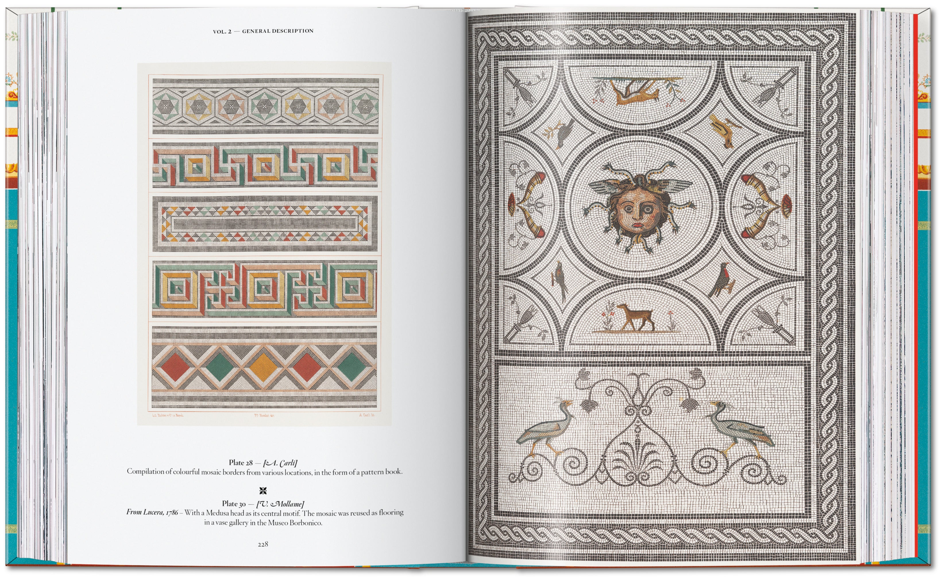 45th Anniversary: Fausto & Felice Niccolini. Houses and Monuments of Pompeii.