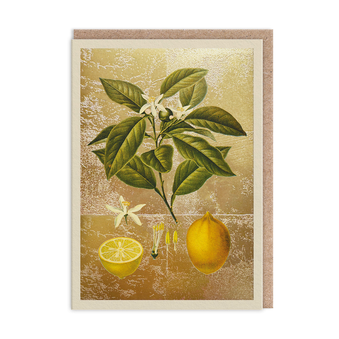 Lemons Blank Greeting Card