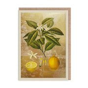 Lemons Blank Greeting Card