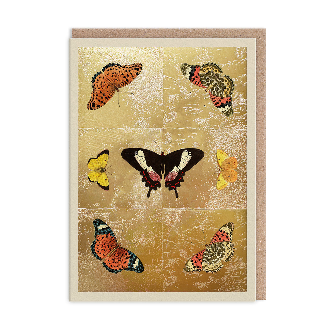 Butterfly Symmetry Blank Greeting Card