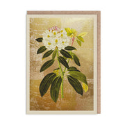 Rhododendron Greeting Card - Just Fabulous Palm Springs