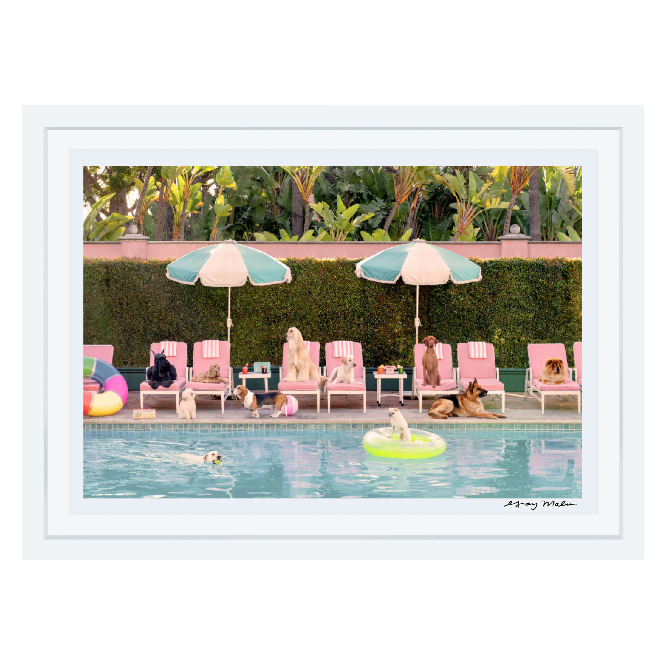 LIMITED EDITION of 50 - Pool Day, The Beverly Hills Hotel Extra Large 30" x 45" (Framed)