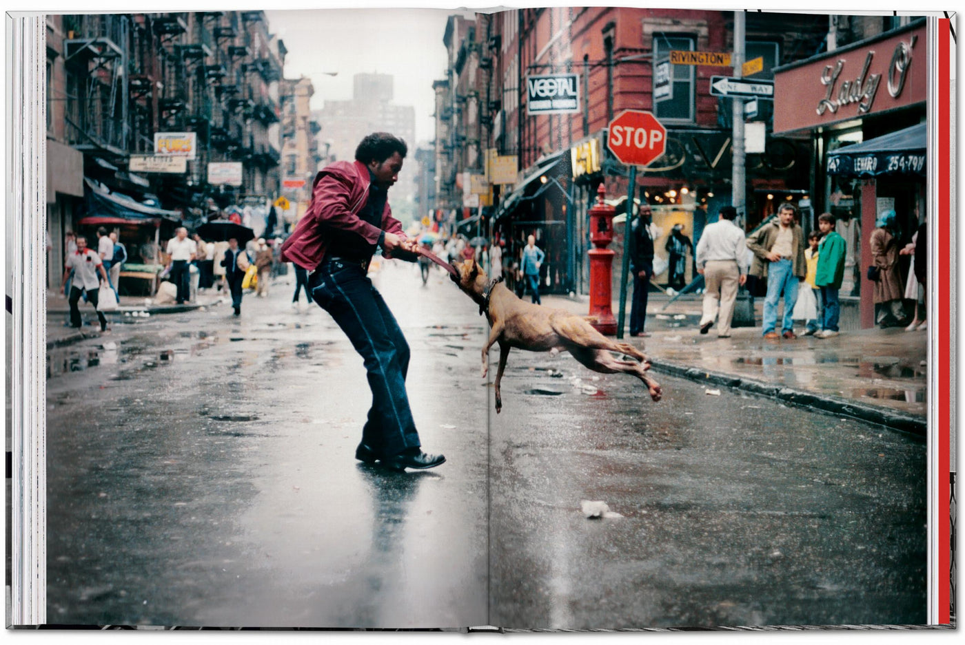PO: New York. Portrait Of A City