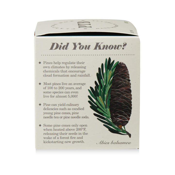 Rustic Pine Plant The Box Candle