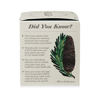 Rustic Pine Plant The Box Candle