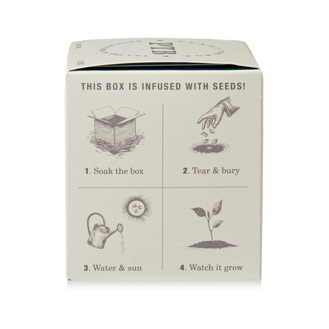 Rustic Pine Plant The Box Candle