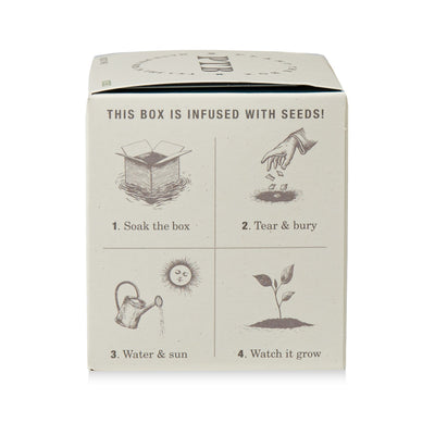 Rustic Pine Plant The Box Candle