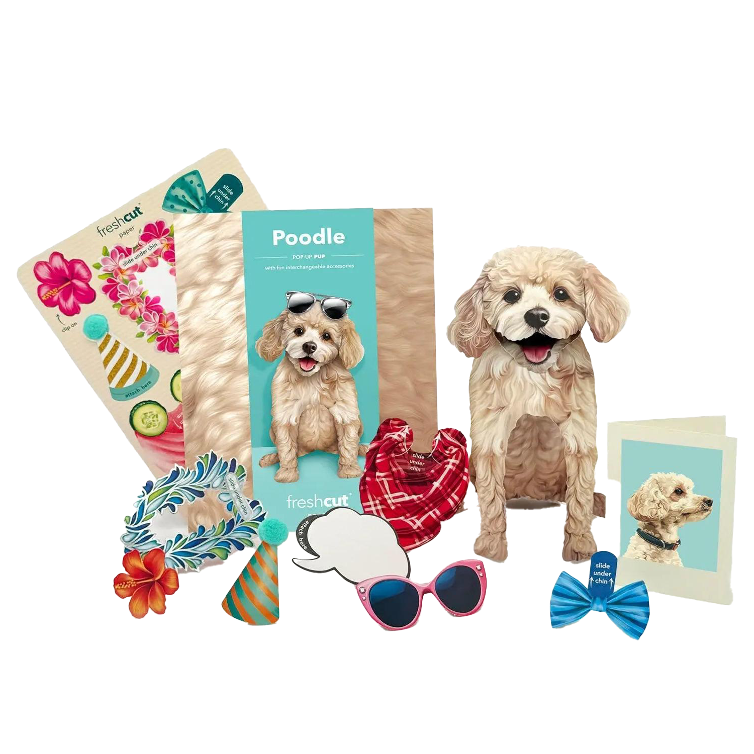 Poodle Pop-Up Card