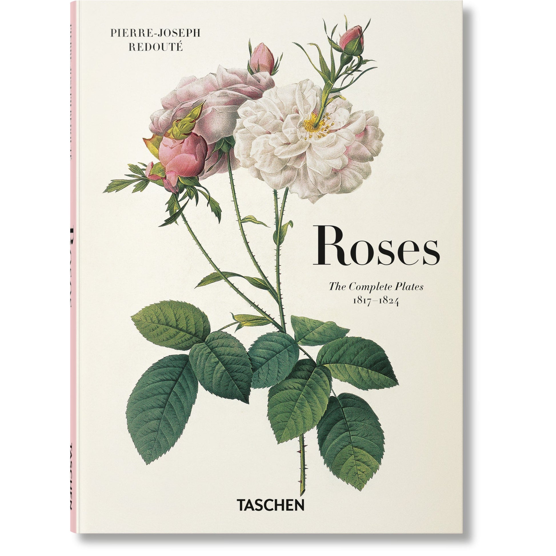 ICONS: Redouté. Roses - Just Fabulous Palm Springs