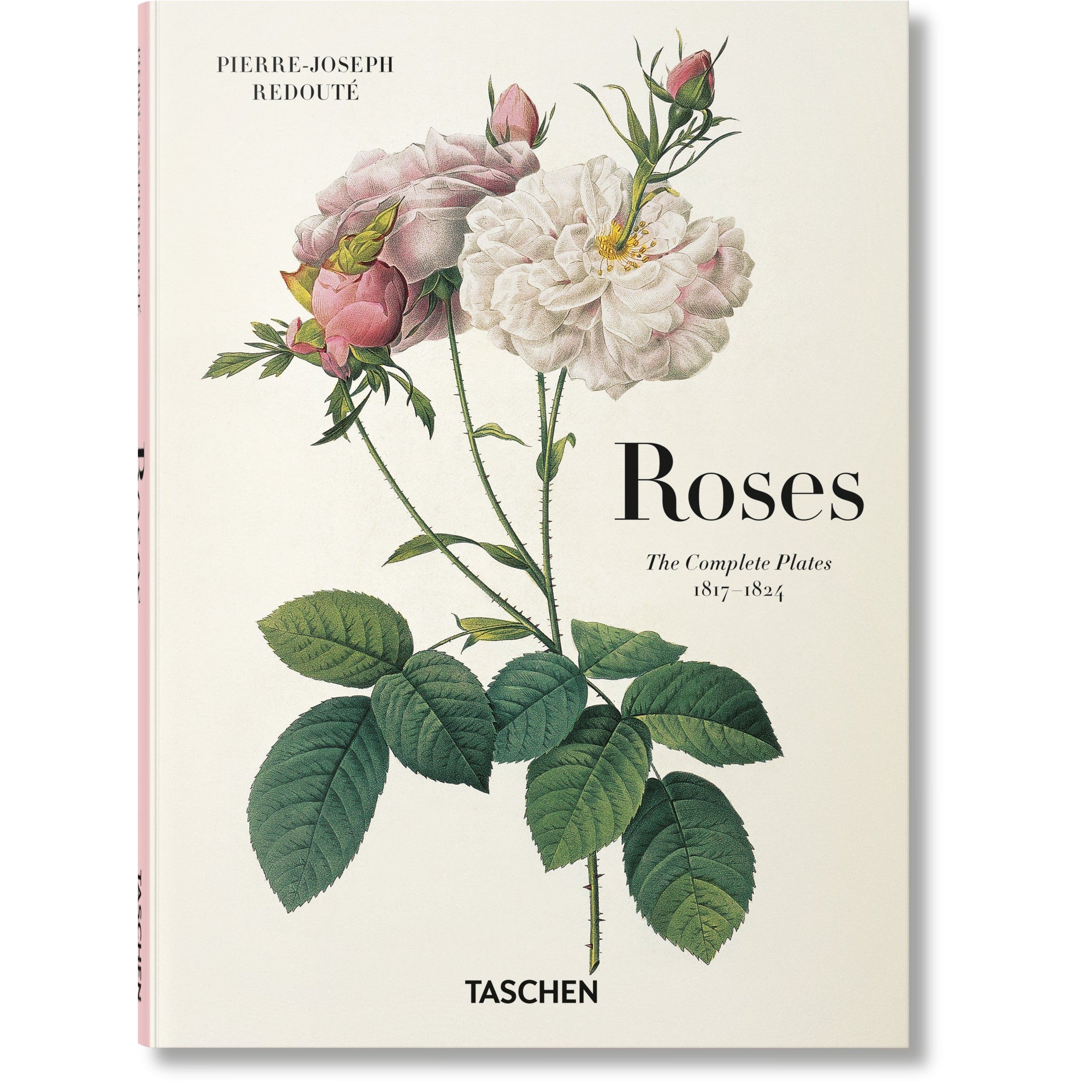 ICONS: Redouté. Roses - Just Fabulous Palm Springs