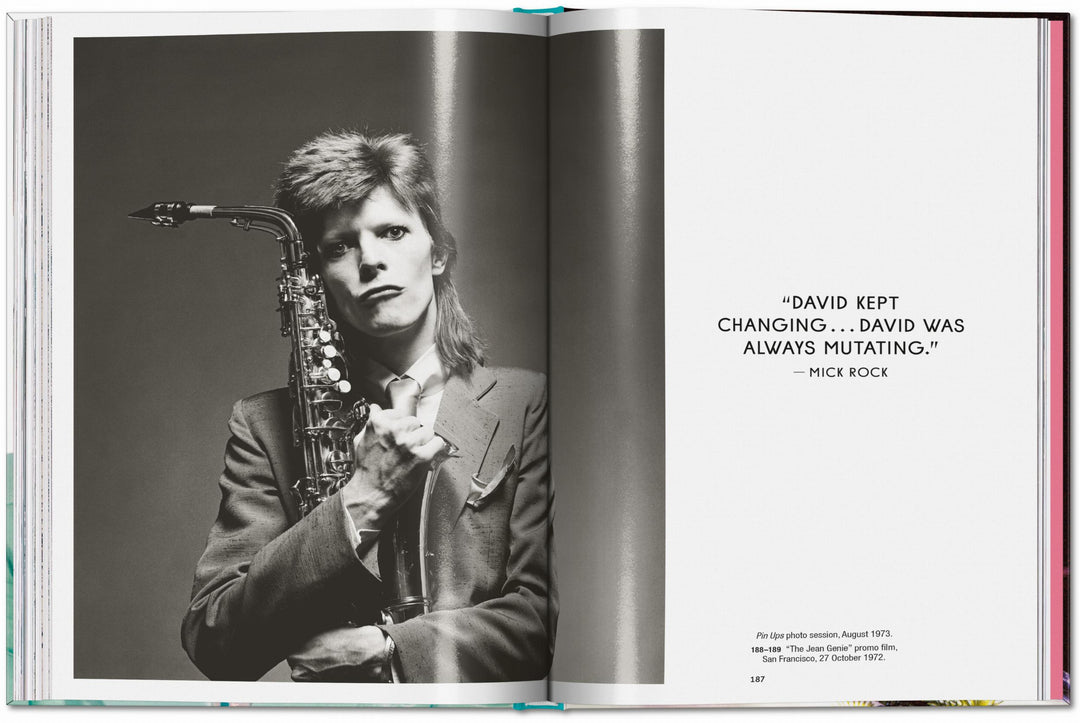 PO: The Rise Of David Bowie