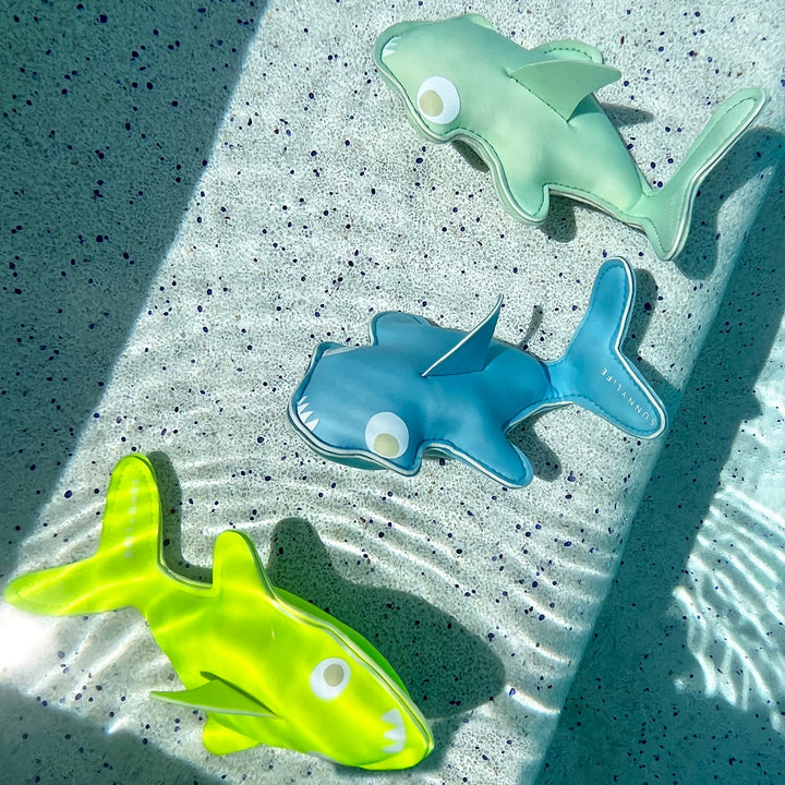 Salty Shark Dive Buddies