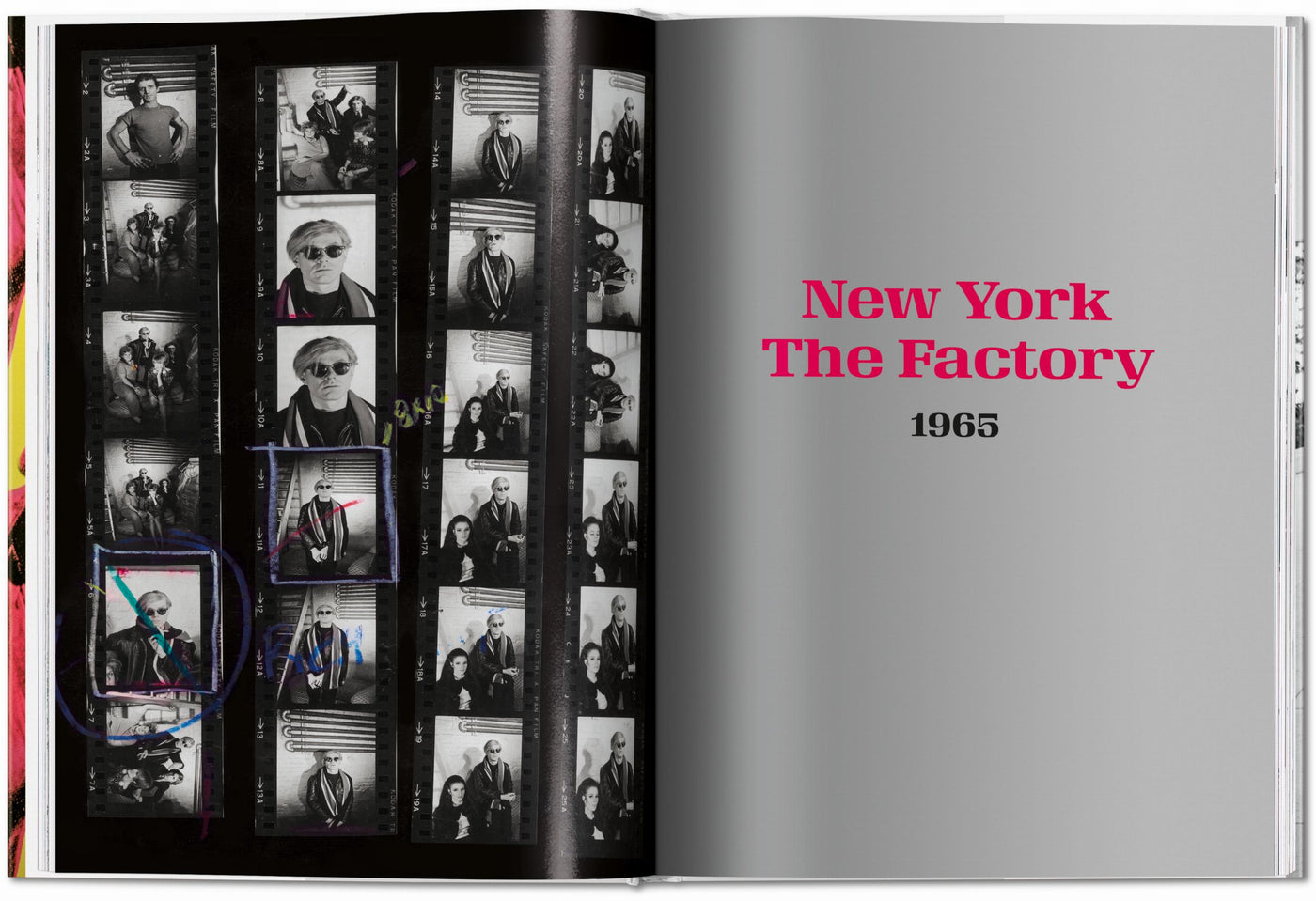 Steve Schapiro: Andy Warhol And Friends