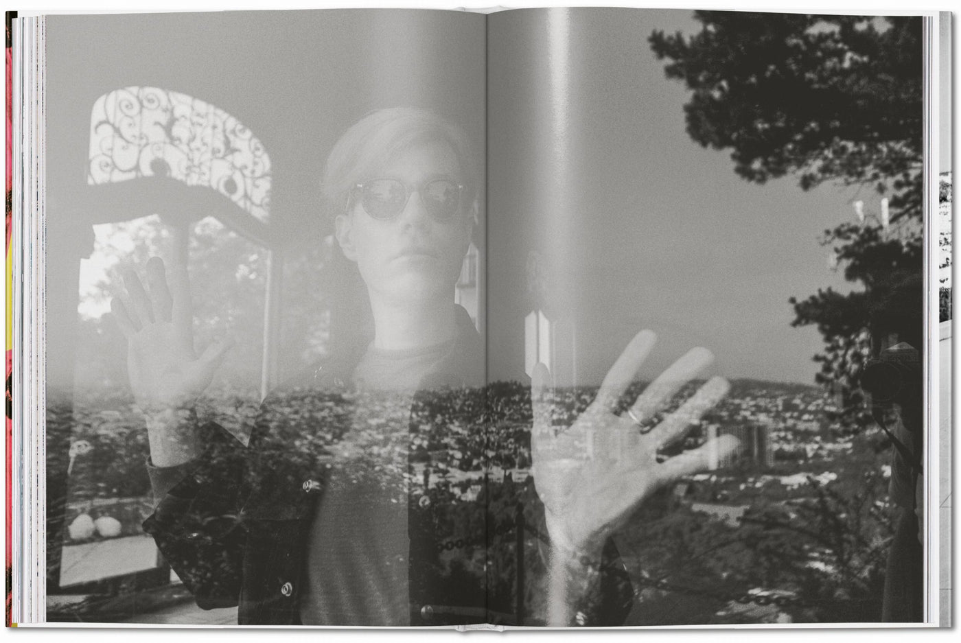 Steve Schapiro: Andy Warhol And Friends
