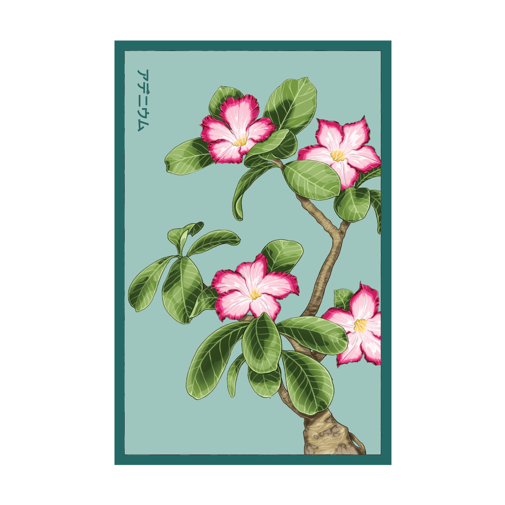 Desert Rose Indoor Seeds Packet