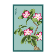 Desert Rose Indoor Seeds Packet