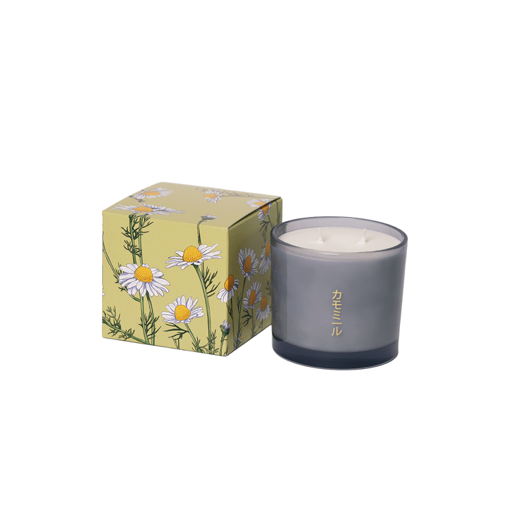 Shido Coconut & Soy Blend Chamomile 8oz Candle