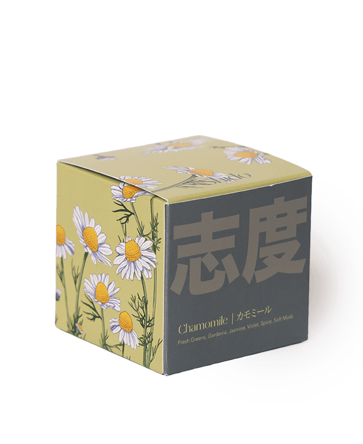 Shido Coconut & Soy Blend Chamomile 8oz Candle