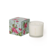 Shido Coconut & Soy Blend Sweet Pea 8oz Candle