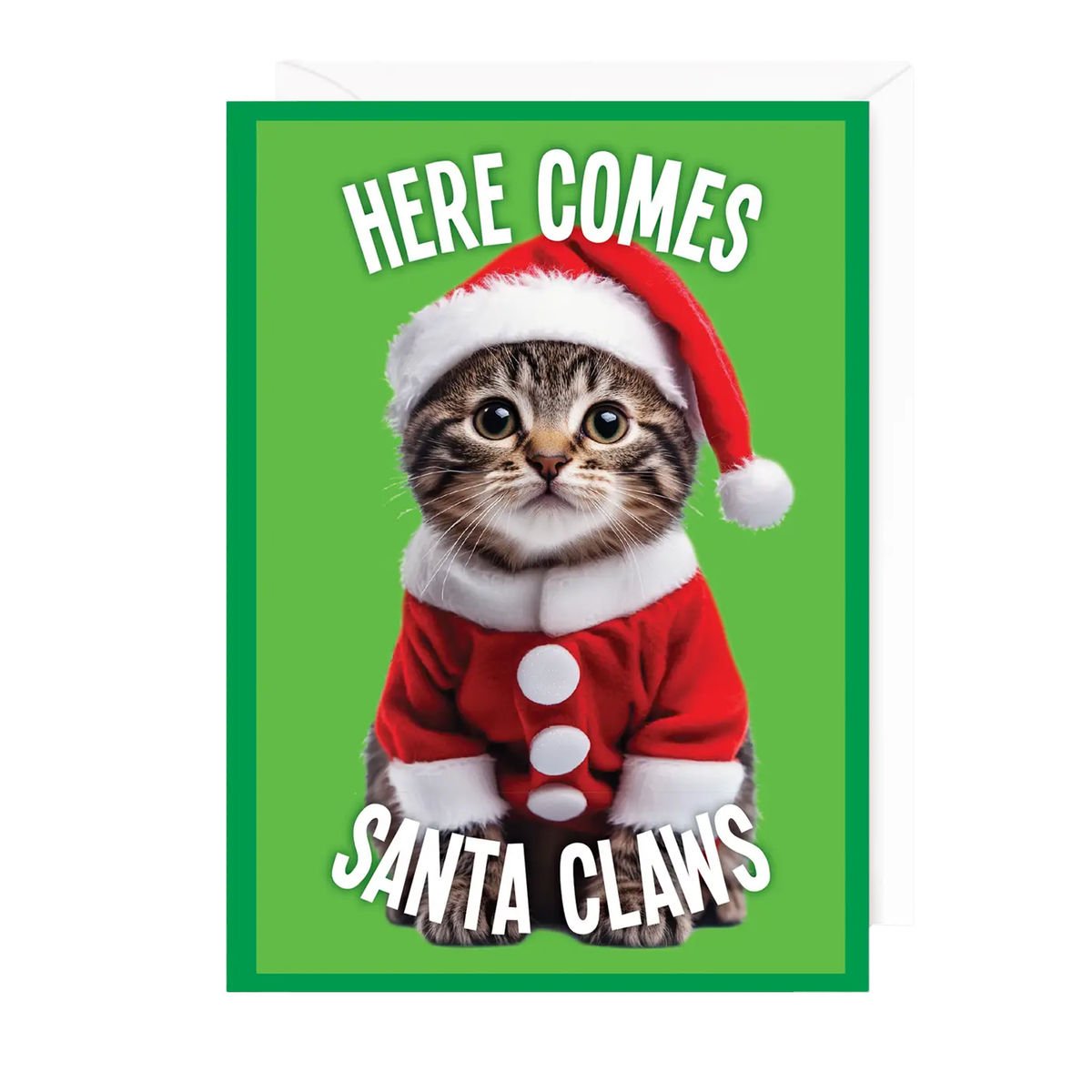 Santa Claws Holiday Card - Just Fabulous Palm Springs