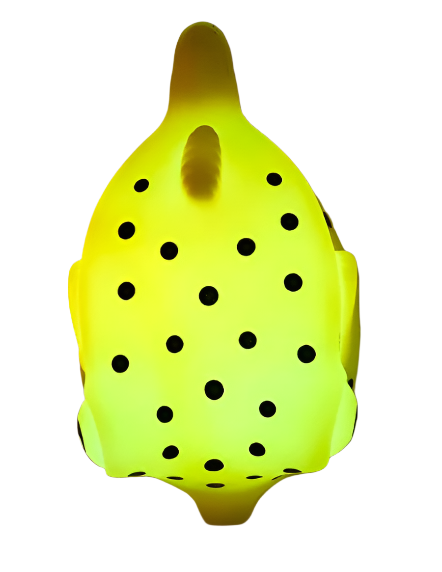 Bath Buddies- Spotted Puffer