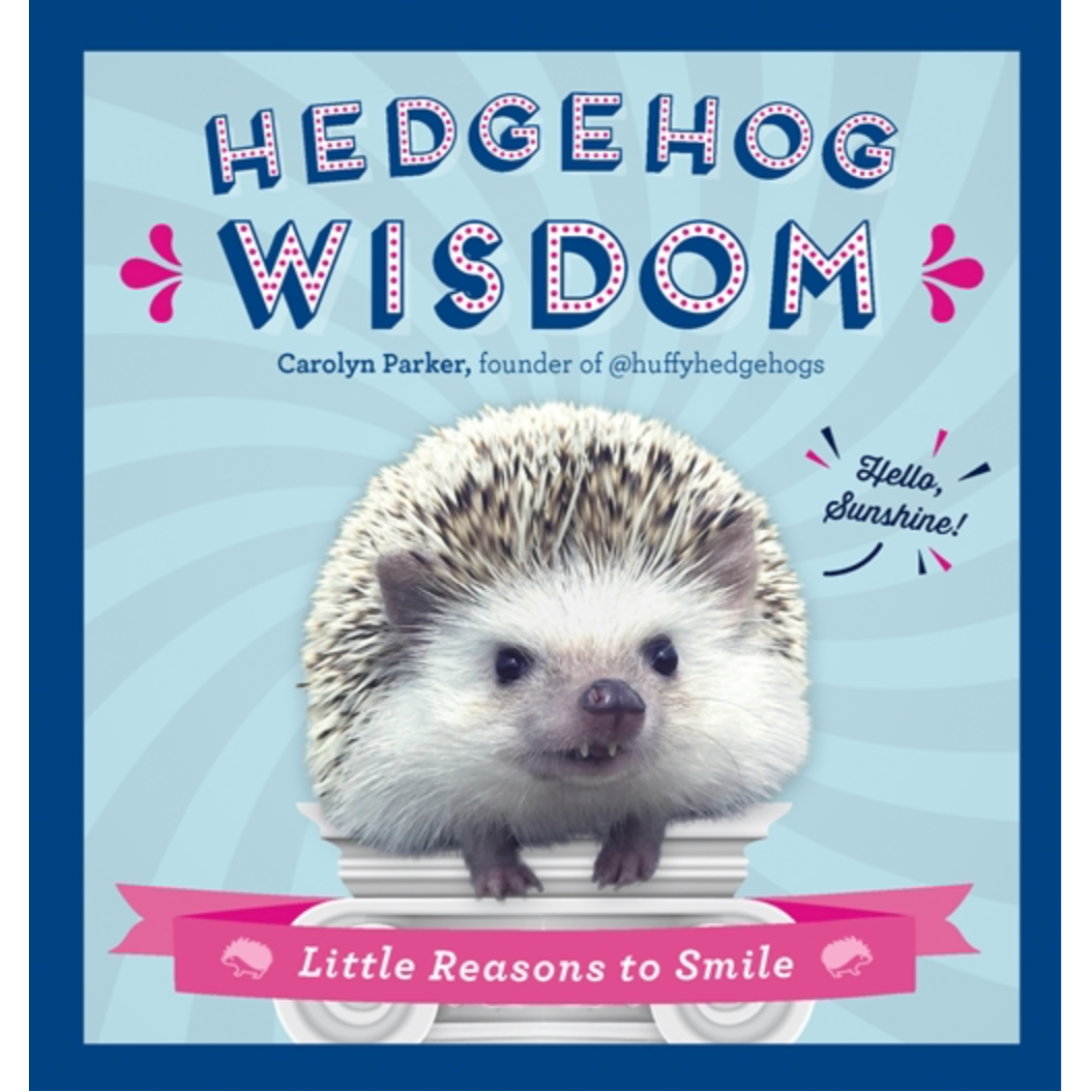 Hedgehog Wisdom: Little Reasons To Smile