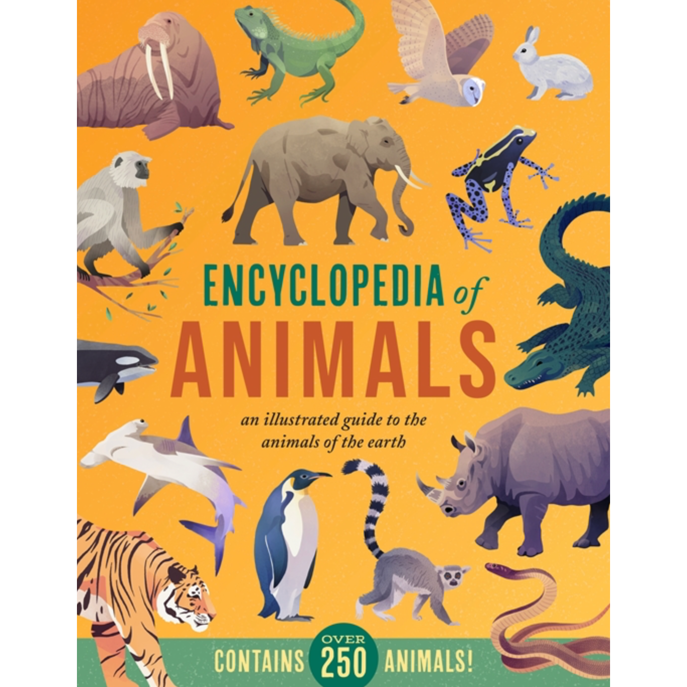 Encyclopedia Of Animals: An Illustrated Guide To The Animals Of The Earth