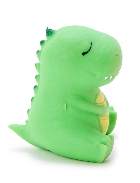 Stretch and Mold Adopt A Dino