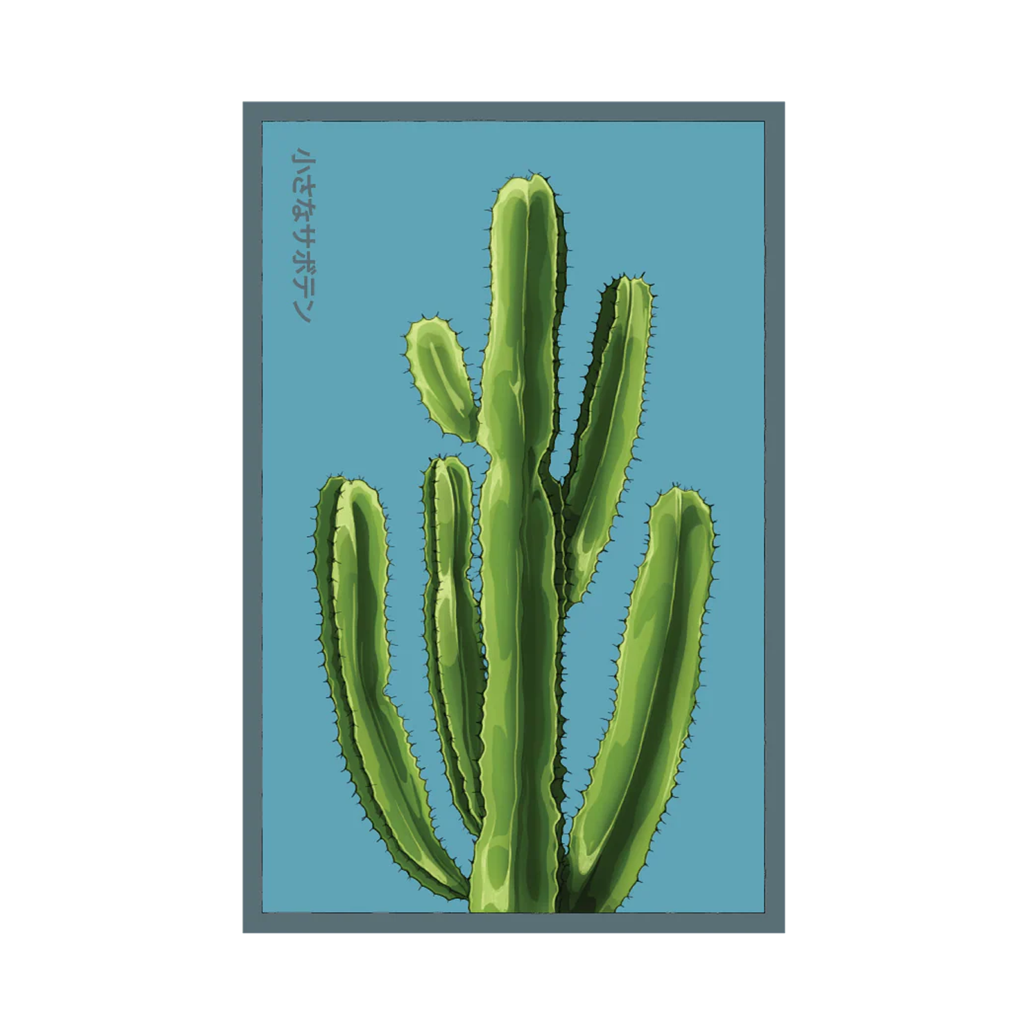 Small Mixed Cacti Indoor Seeds Packet