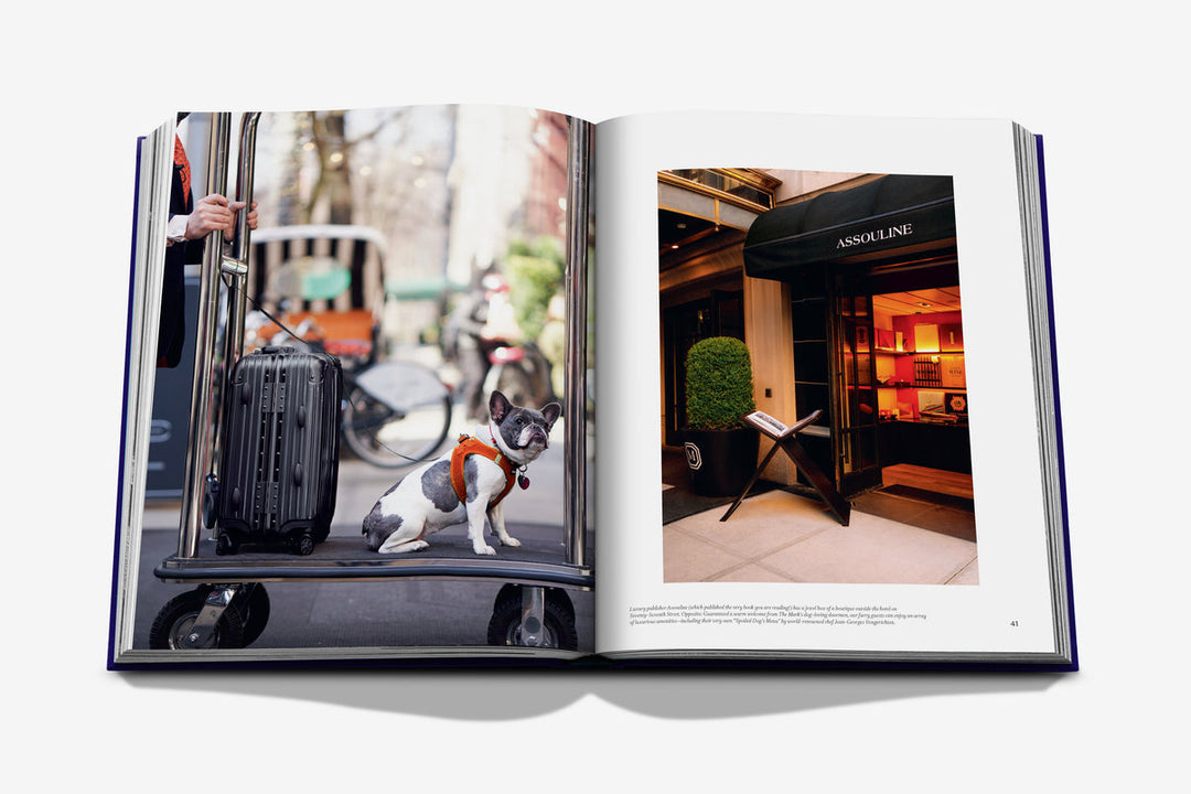 The Mark - Just Fabulous Palm Springs