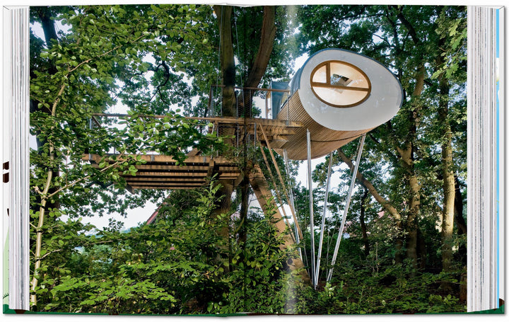 45th Anniversary: Tree Houses