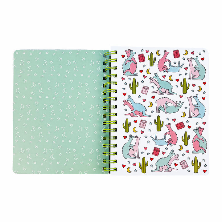 Llama Sutra Notebook