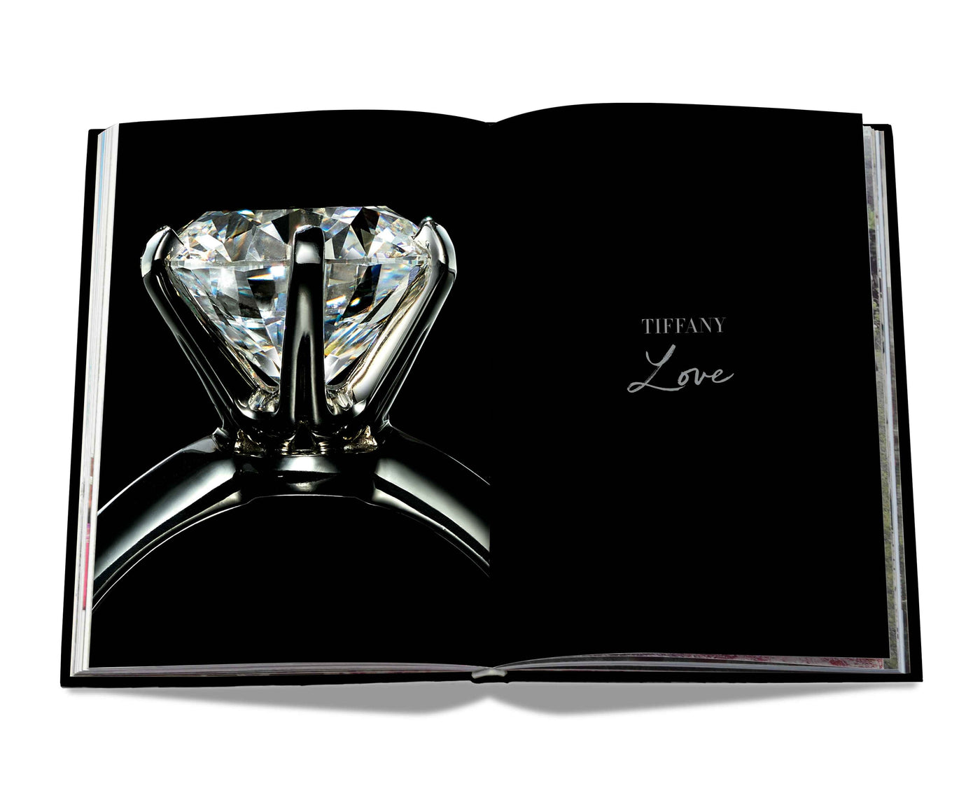 Tiffany & Co. Vision And Virtuosity (Icon Edition)