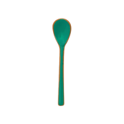 Enameled Stainless Steel Salt & Pepper Spoon - Green With Orange Trim