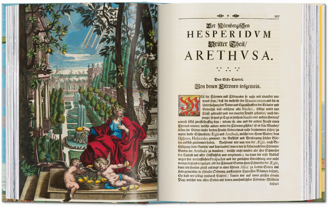 45th Anniversary: J.C. Volkamer. The Book Of Citrus Fruits