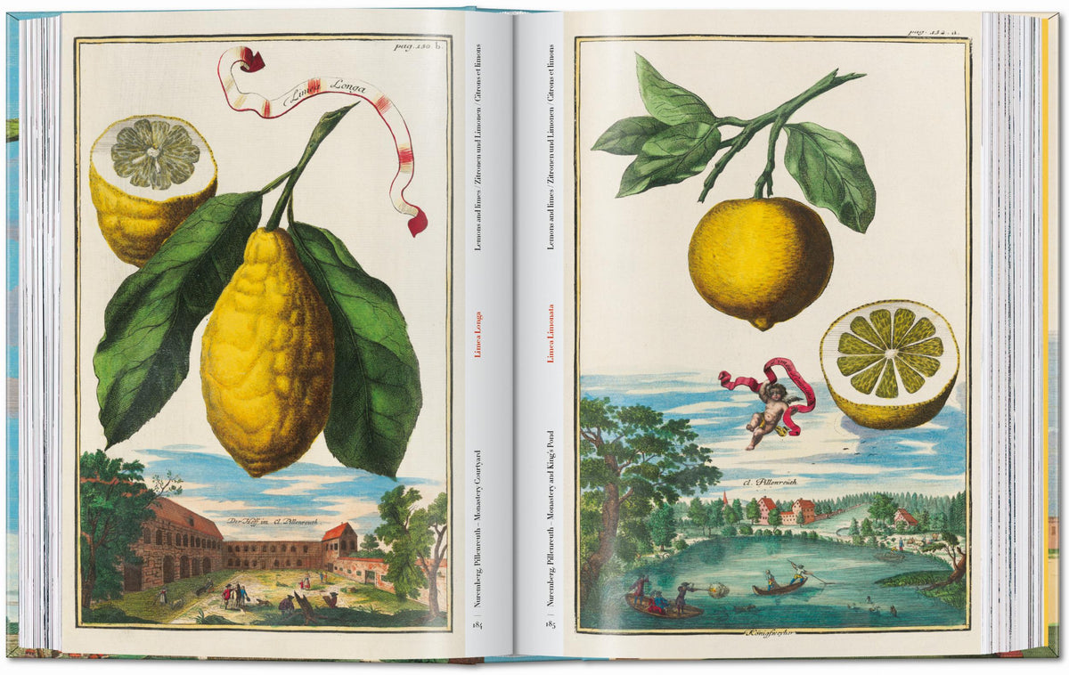 45th Anniversary: J.C. Volkamer. The Book Of Citrus Fruits