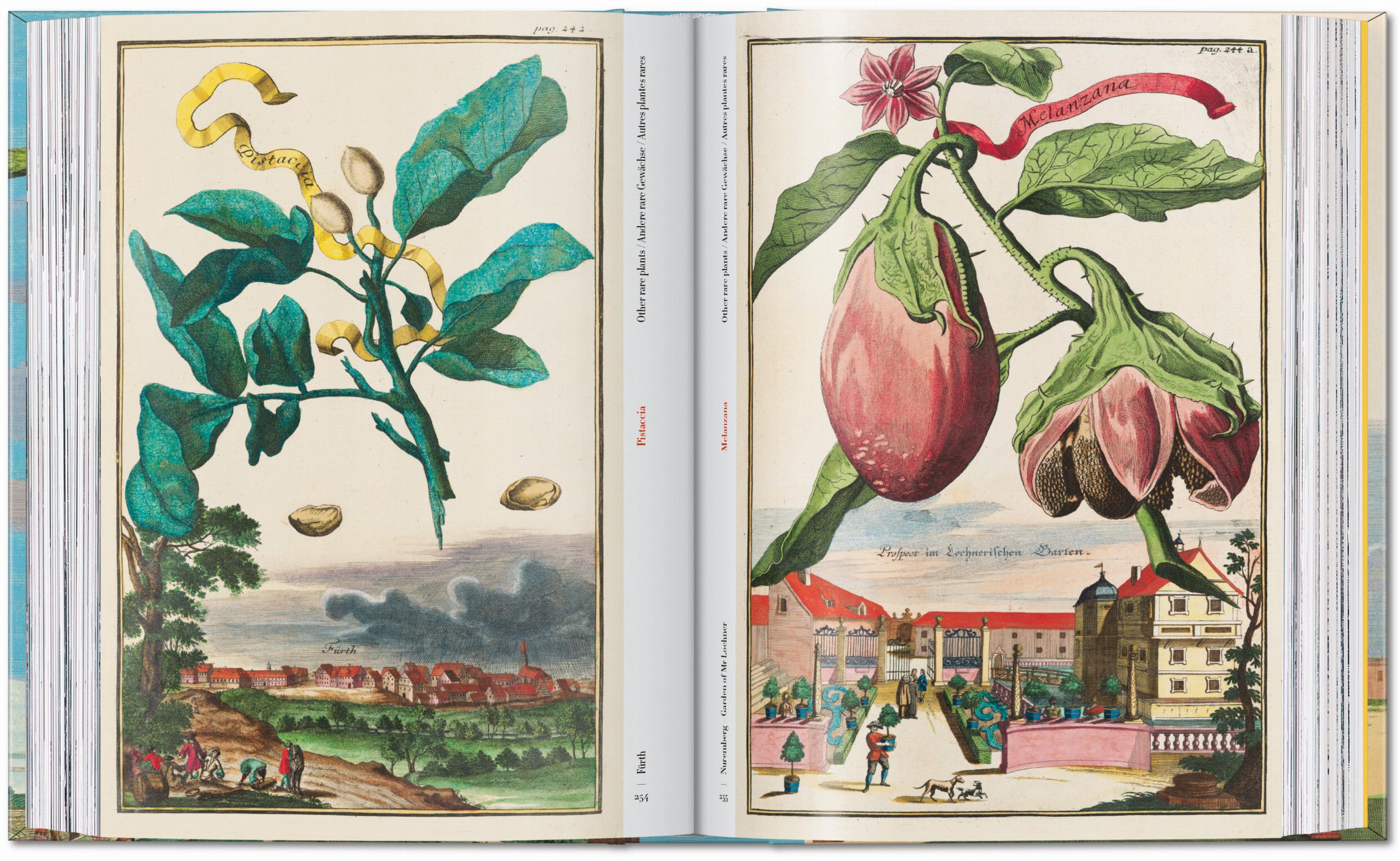 45th Anniversary: J.C. Volkamer. The Book Of Citrus Fruits