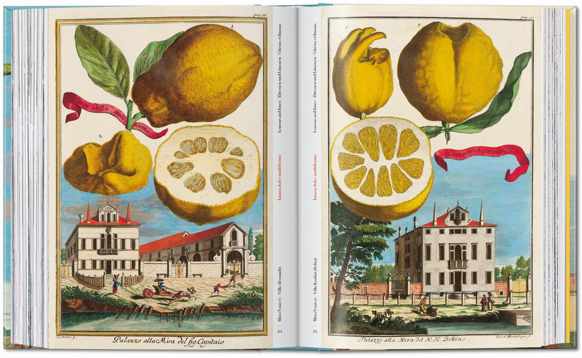 45th Anniversary: J.C. Volkamer. The Book Of Citrus Fruits